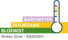 Logo BDB Zilver